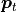 \boldsymbol{p}_t