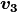 \boldsymbol{v_3}
