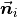 \vec{\boldsymbol{n}}_i