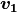 \boldsymbol{v_1}