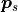 \boldsymbol{p}_s
