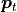 \boldsymbol{p}_t