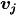 \boldsymbol{v_j}
