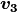 \boldsymbol{v_3}