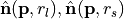 $\hat{\mathbf{n}}(\mathbf{p}, r_l), \hat{\mathbf{n}}(\mathbf{p}, r_s)$